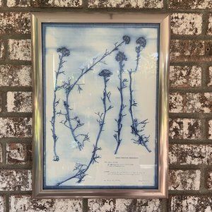 Blue and White Modern Classic Botanical Flower Framed Wall Art of Gold Heads